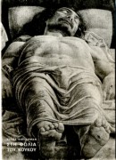 Στη φωλιά του κούκου