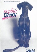 Καρδιά Σκύλου